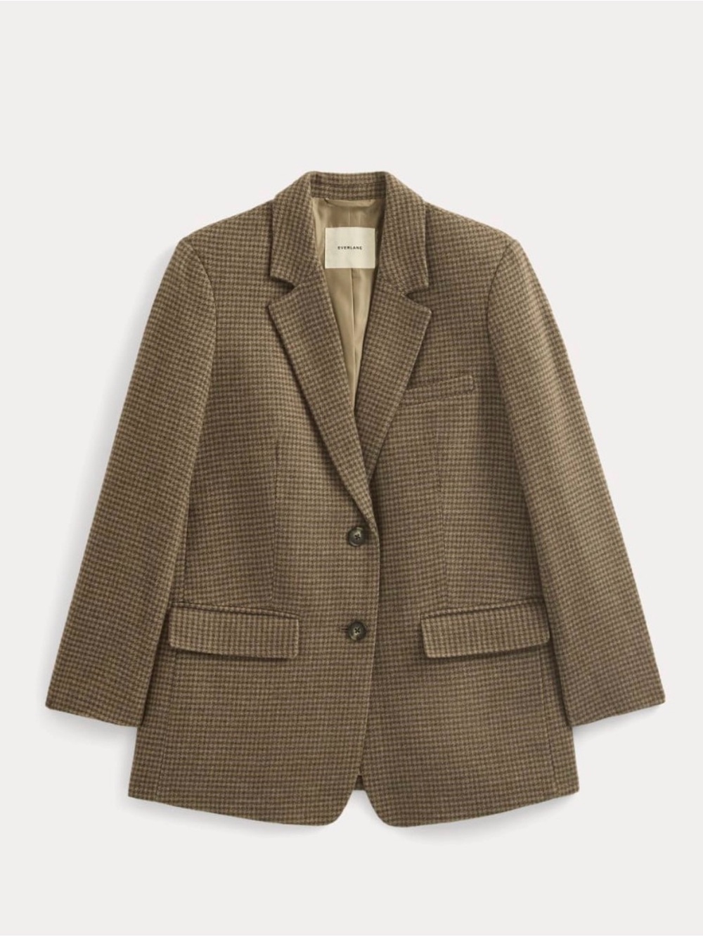 Everlane Oversized Blazer in Wool